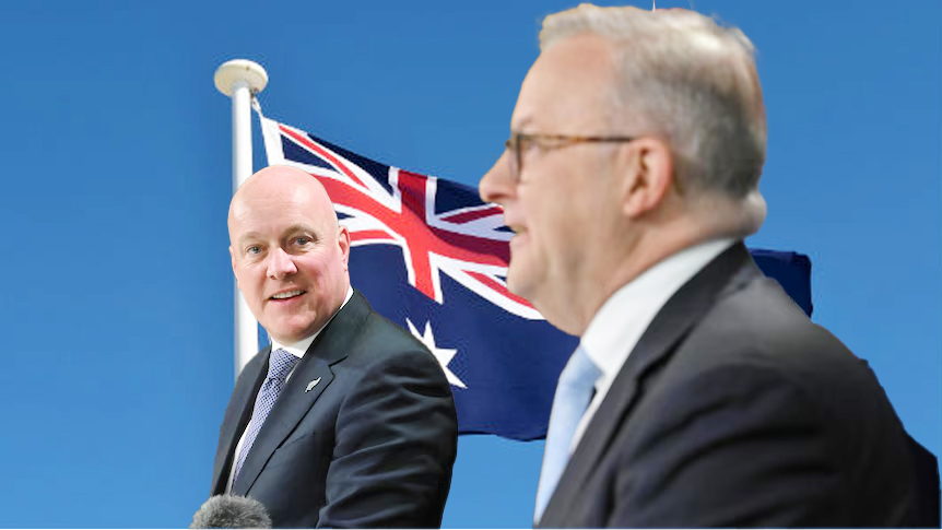 رئيس وزراء نيوزيلندا يحذر ألبانيزي بشأن خطط إعادة صياغة الأوامر المتعلقة بترحيل المجرمين النيوزيلنديين